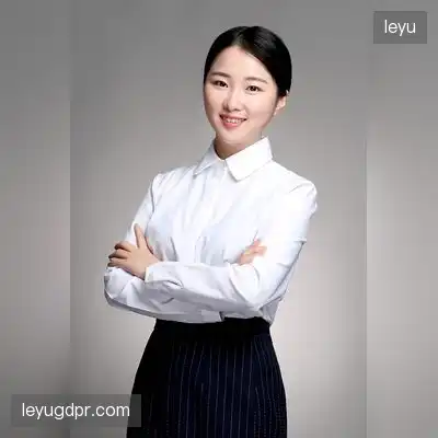 段雅